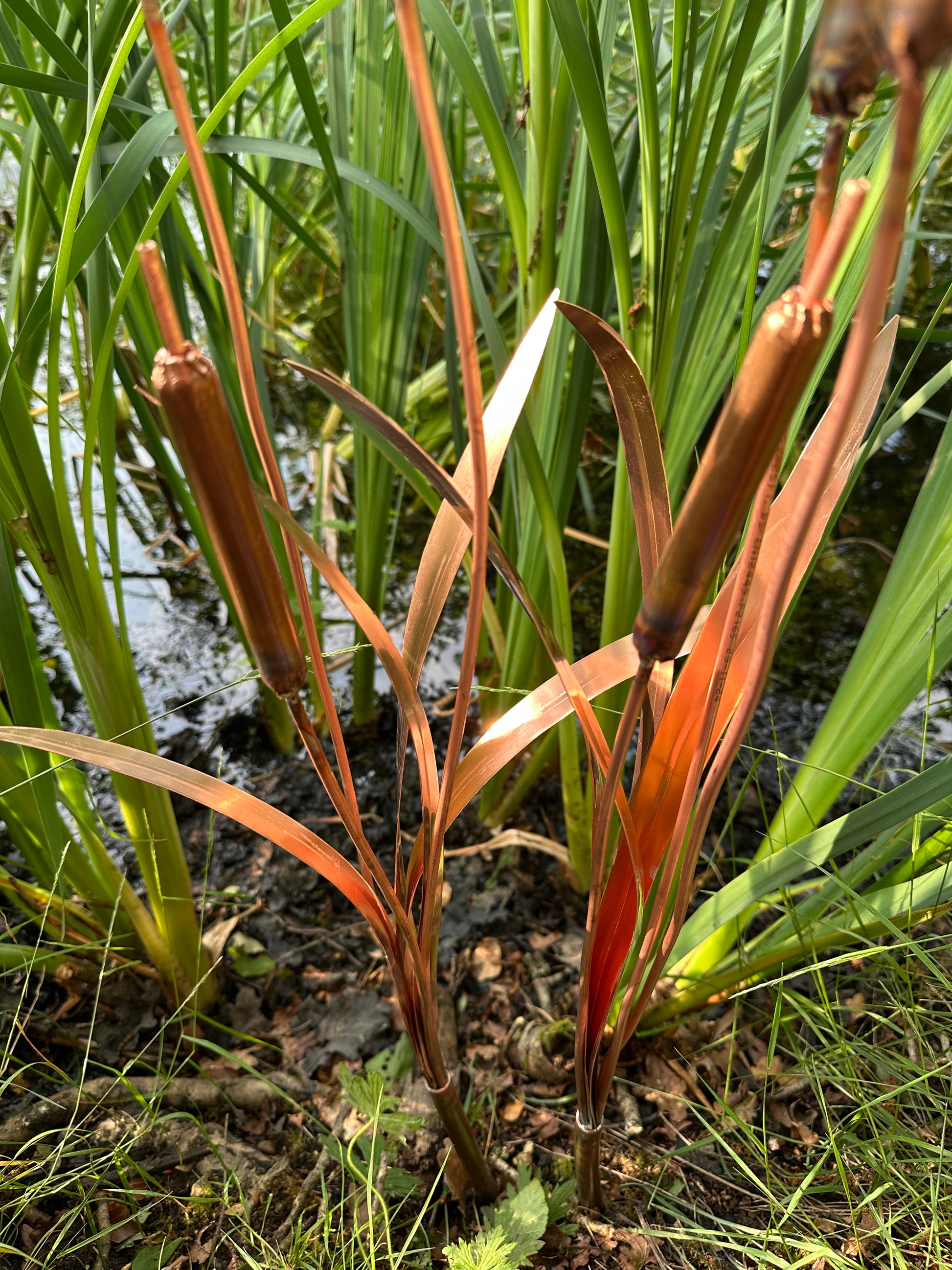 Copper bulrushes