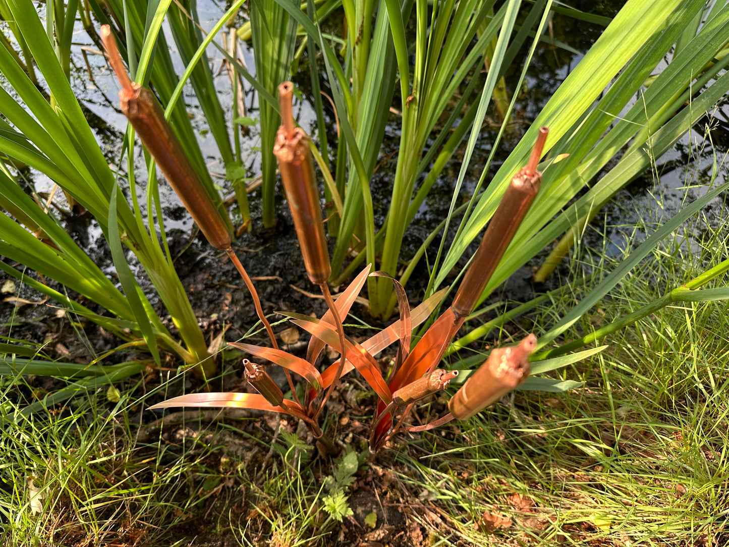 Copper Bulrushes Pair