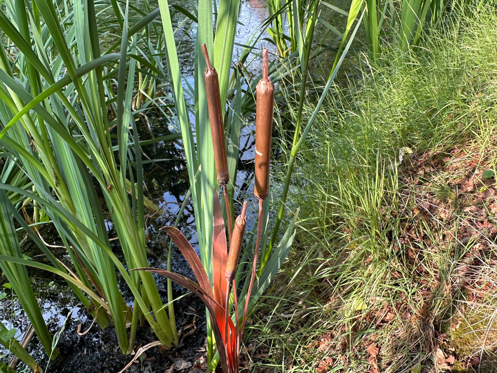 Copper bulrushes