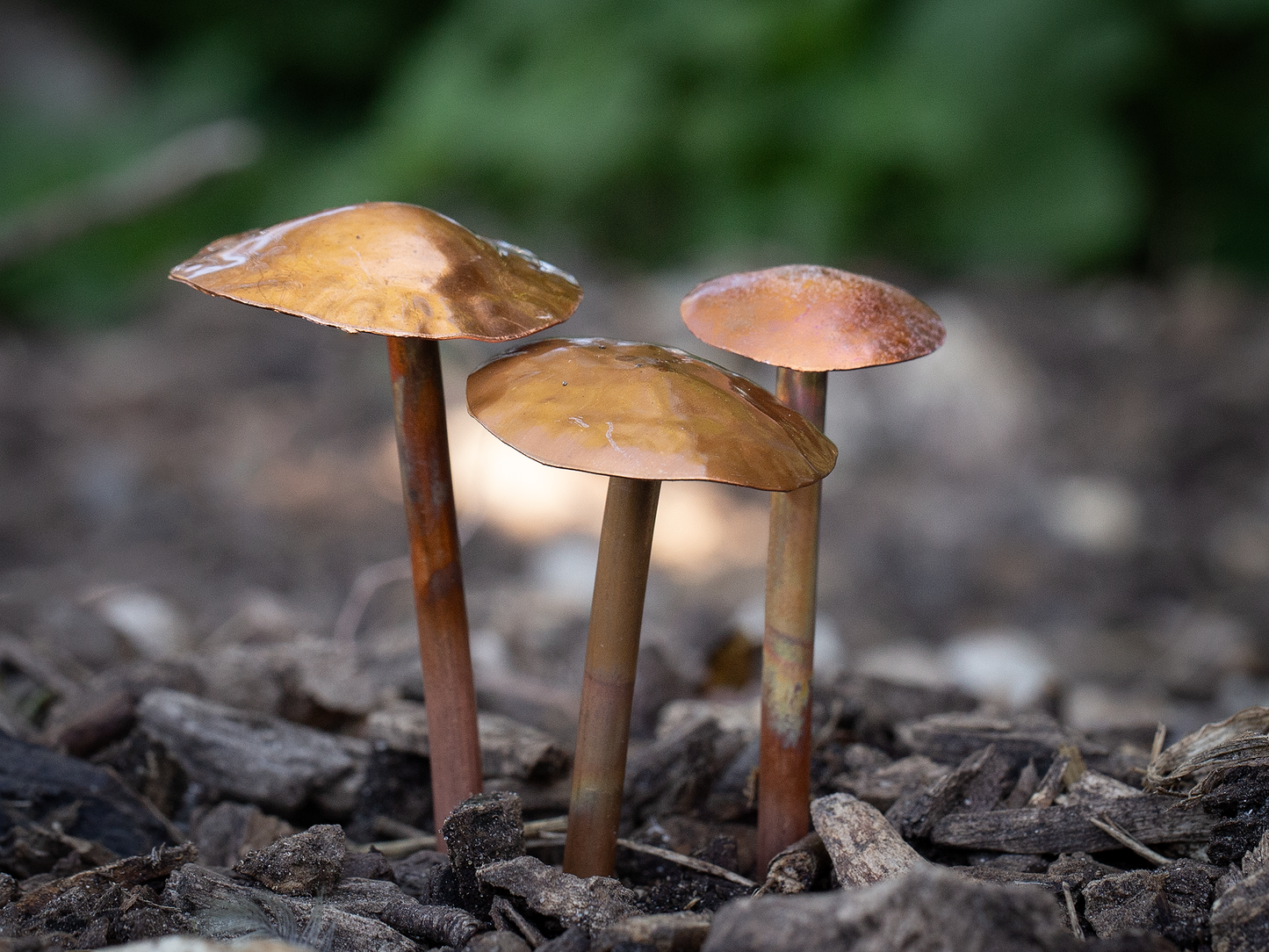 Copper Mushrooms