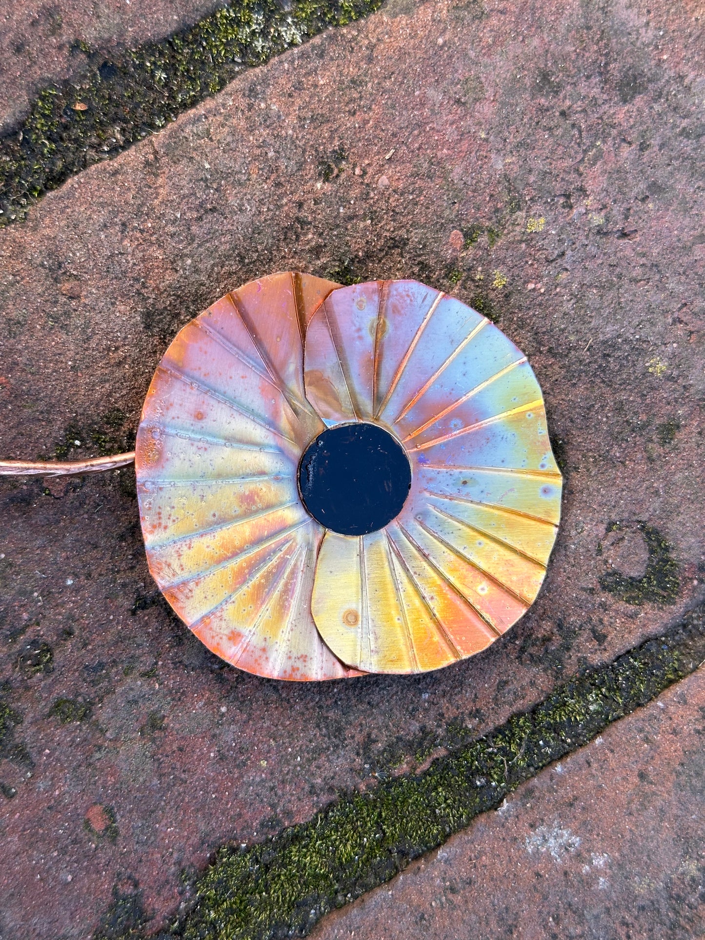 Copper Poppy Flower
