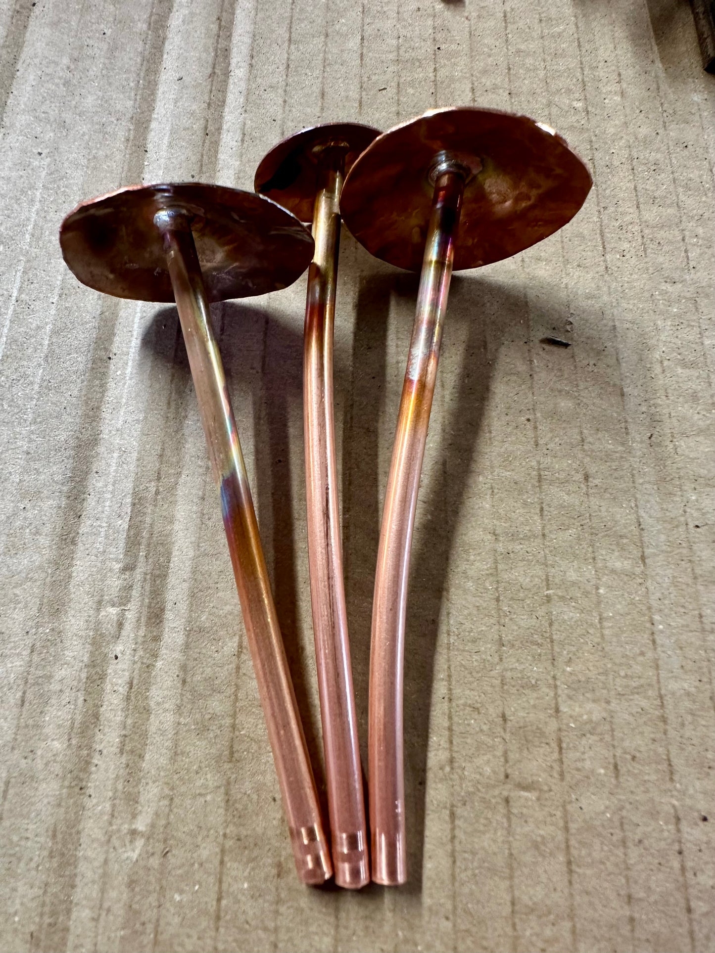 Copper Mushrooms
