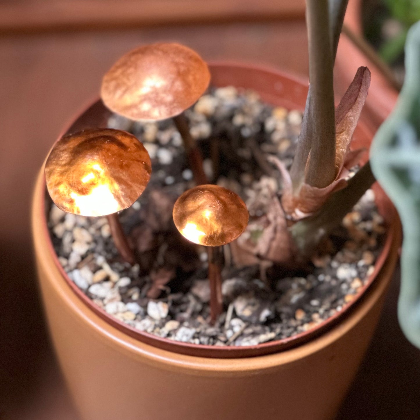 Copper Mushrooms
