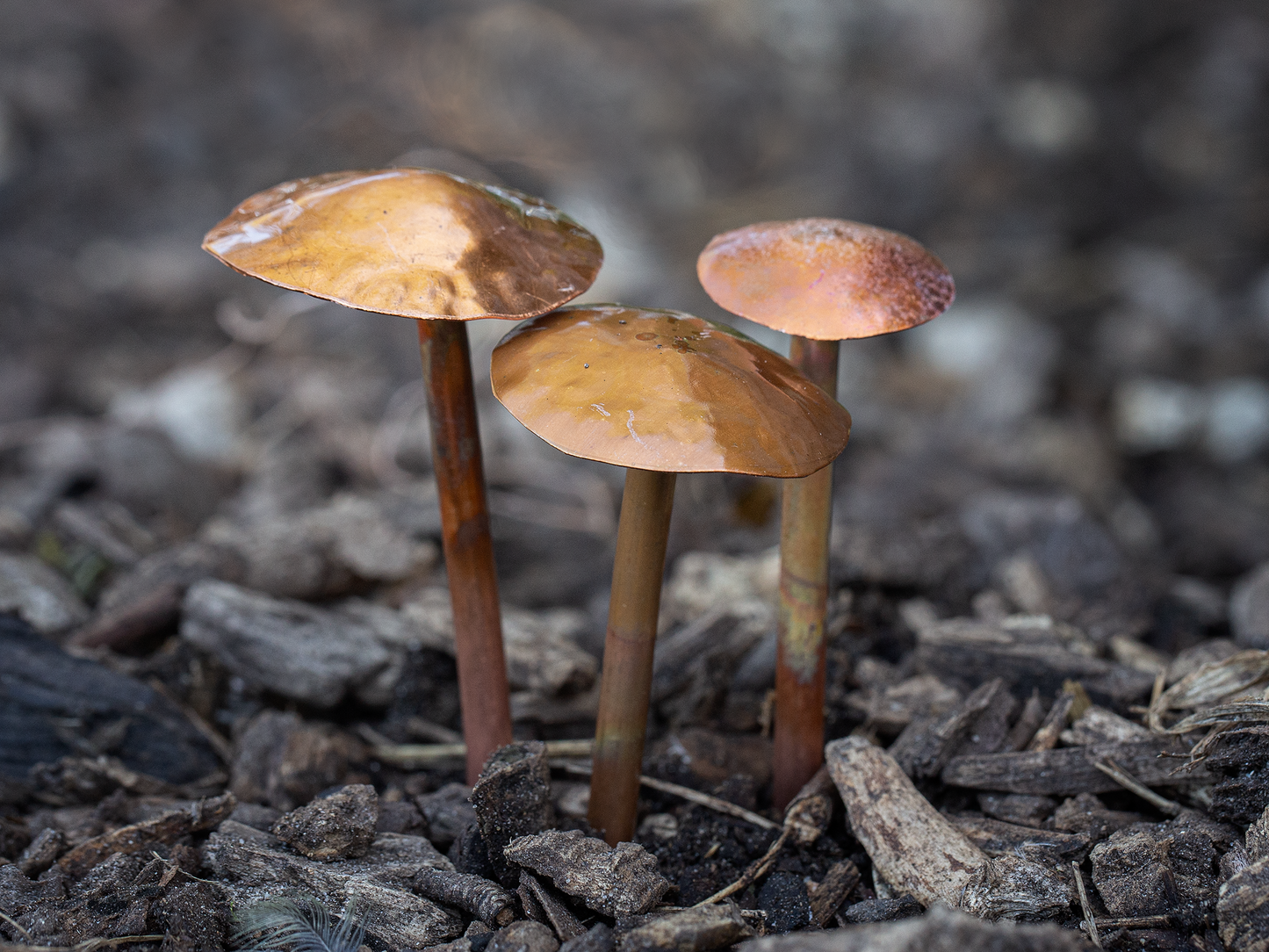 Copper Mushrooms
