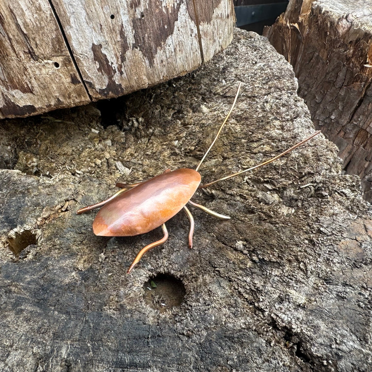 Copper Bug