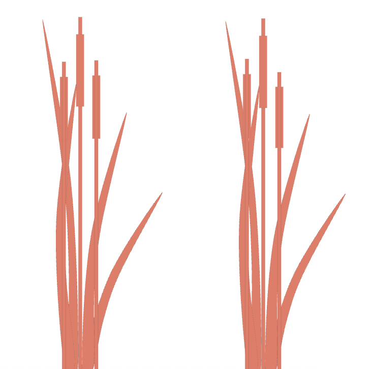 Copper bulrushes Diagram