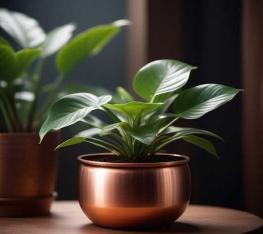 Copper Plant Pots