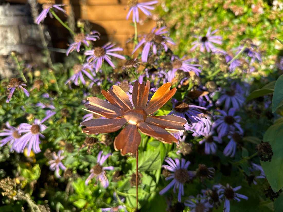 10 Inspiring Ways Copper Can Transform Your Garden