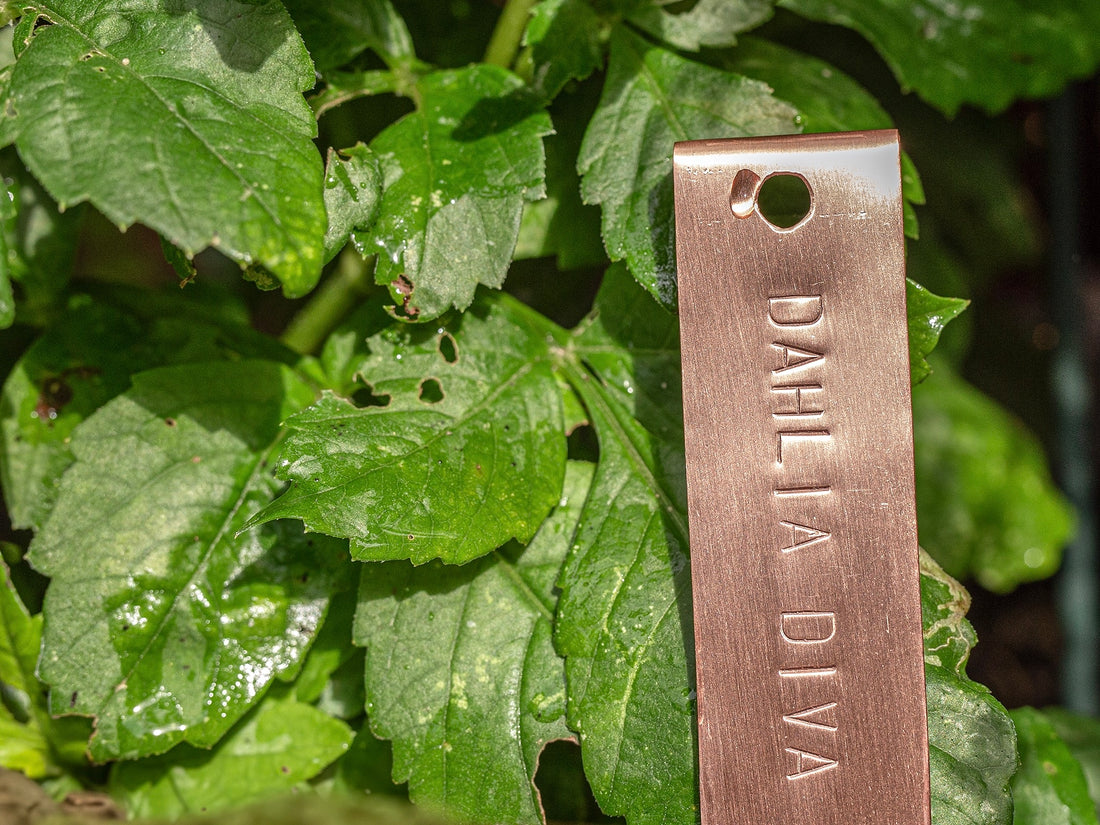 Copper Tags The Benefits of Copper Plant Labels with Stamped Names – Copper and Green