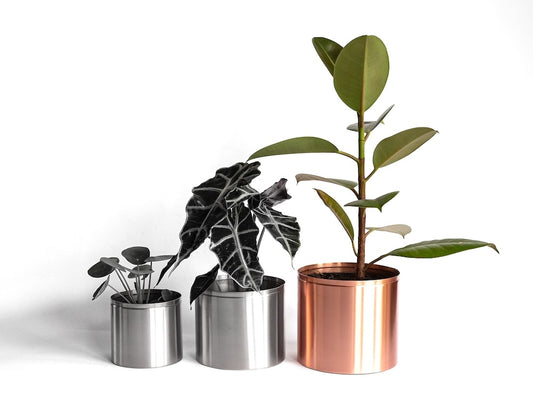 1.5 Litre Copper Plant Pot