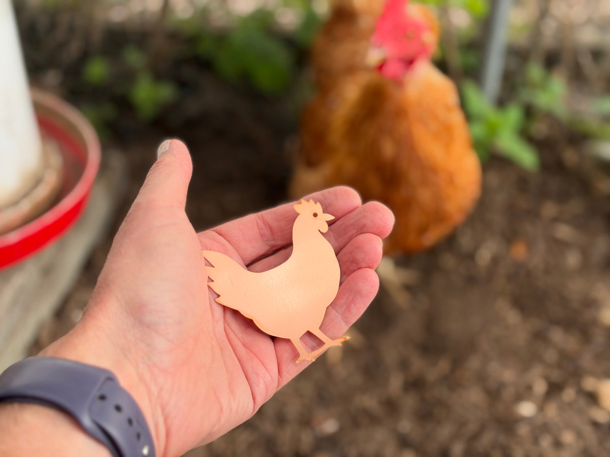 Copper Chicken for Poultry Drinkers