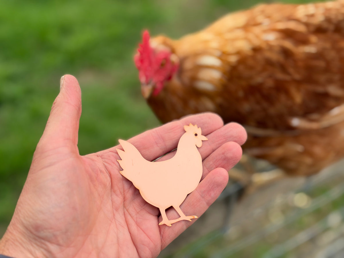 Copper Chicken for Poultry Drinkers