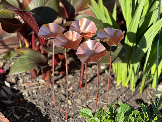 12 x Copper Bee Drinker Bundle