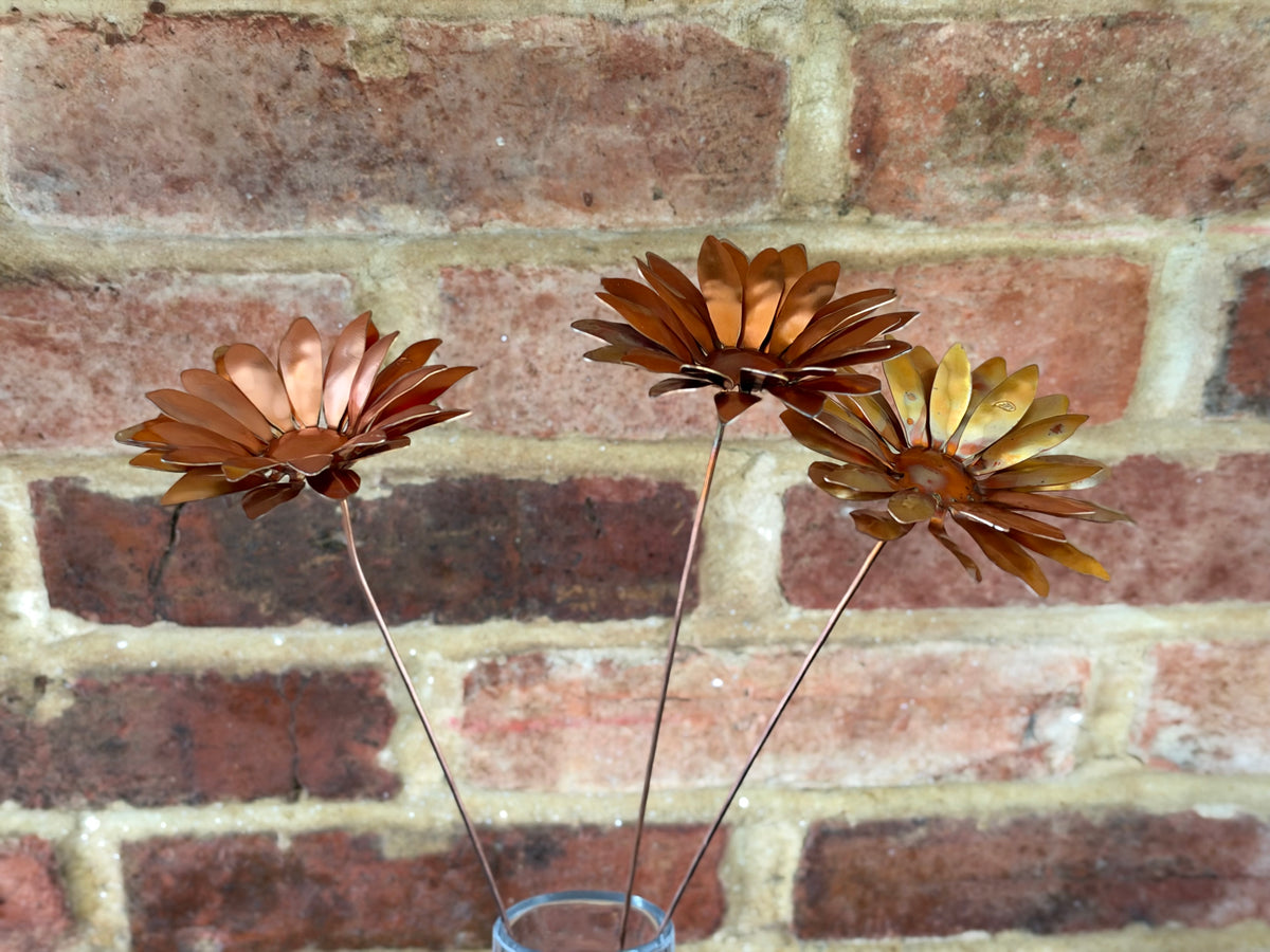 Copper and Green Gerbera