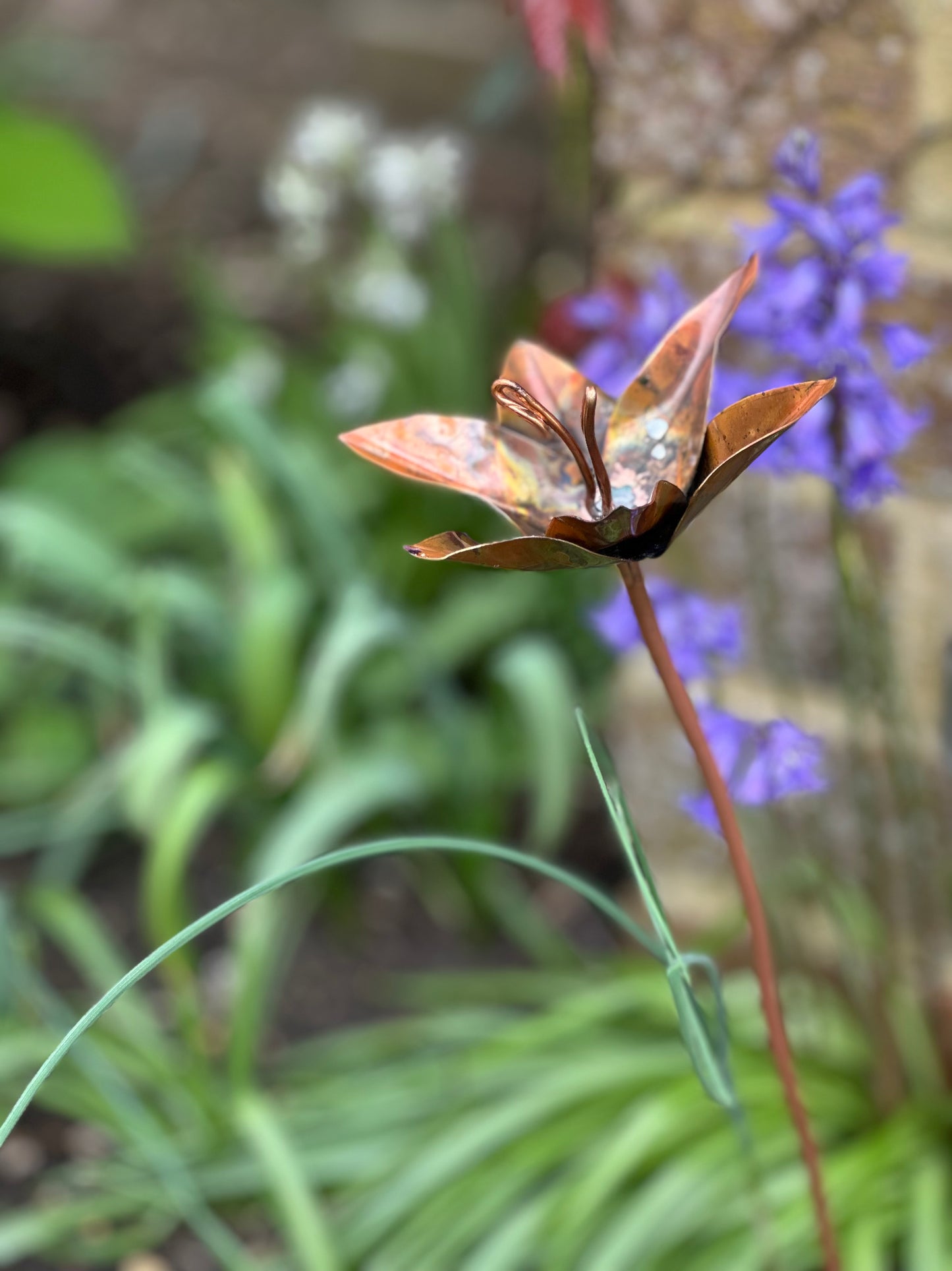 3x Copper Lilies