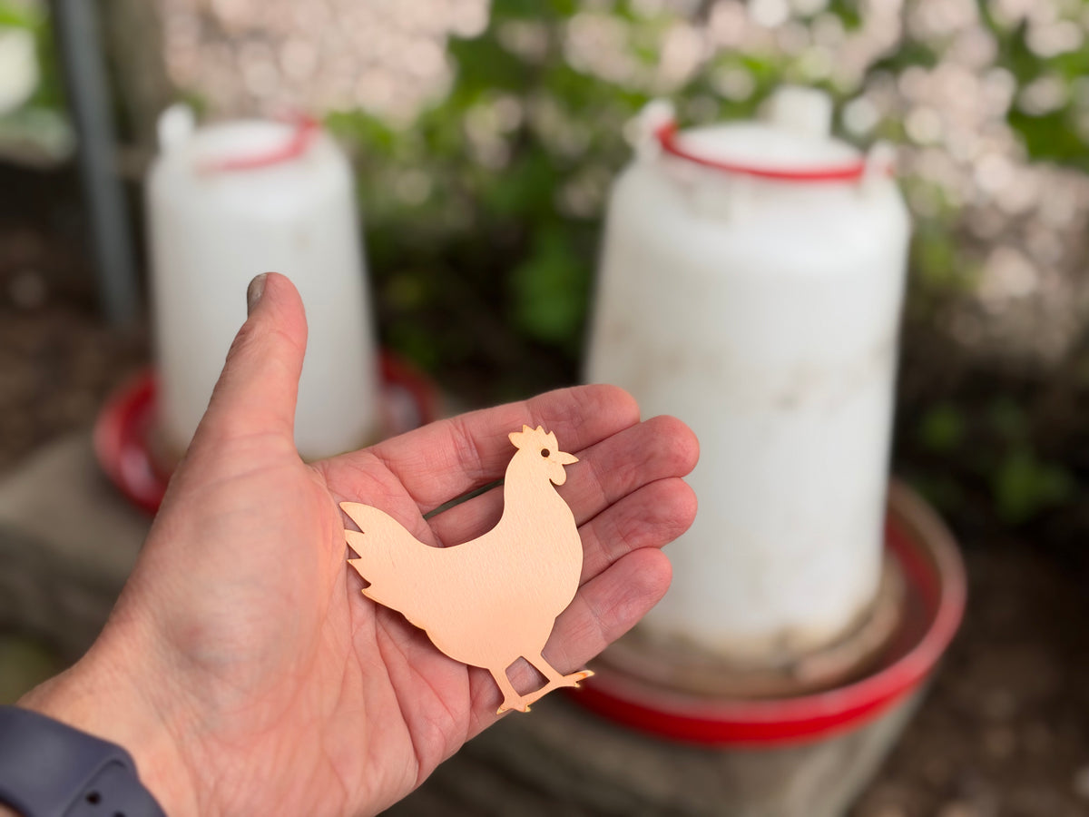 Copper Chicken for Poultry Drinkers