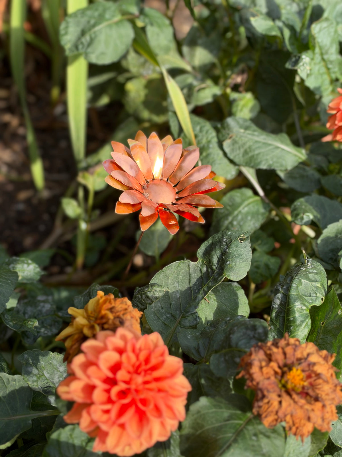 Copper and Green Gerbera