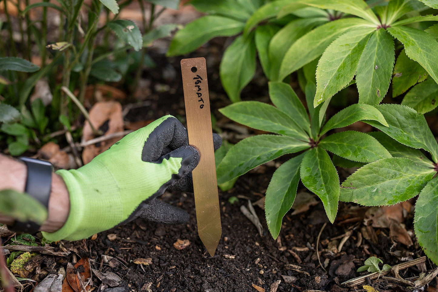 10 Copper Plant Labels with Pen