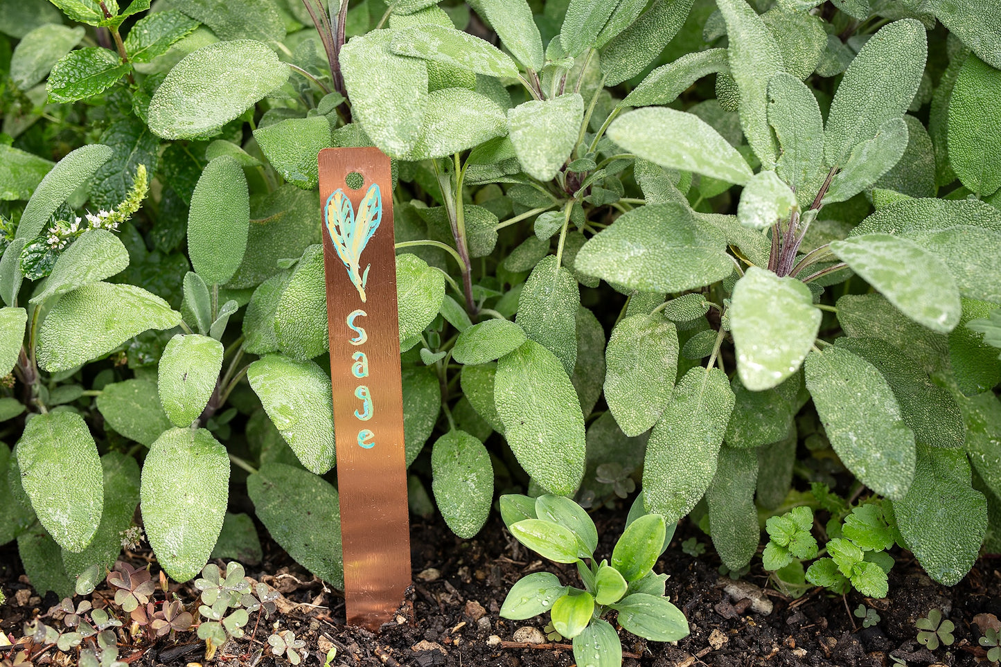 10 Copper Plant Labels with Pen