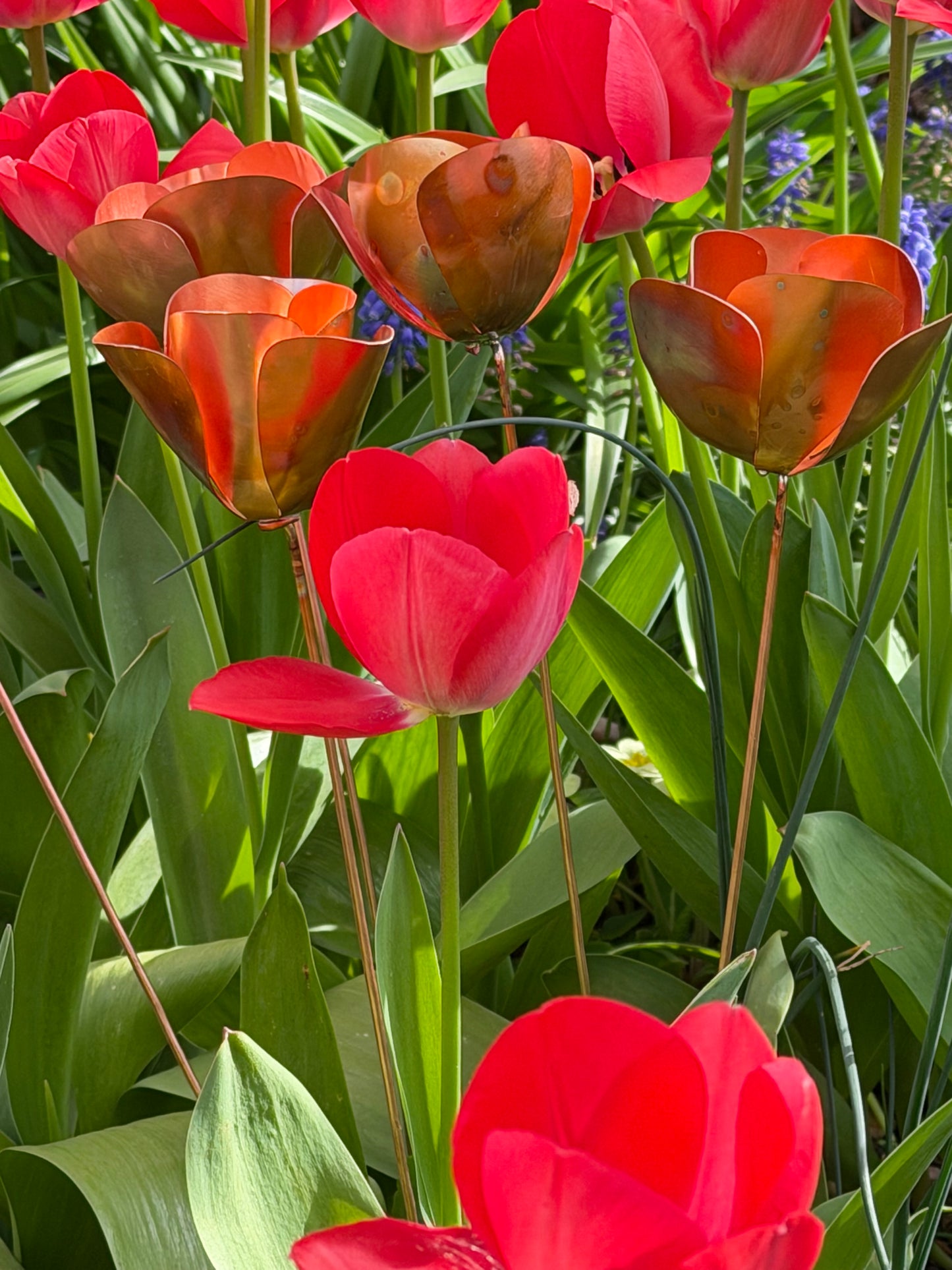 Red tulips with a copper metal sculpture of a tulip in the center from Copper and Green