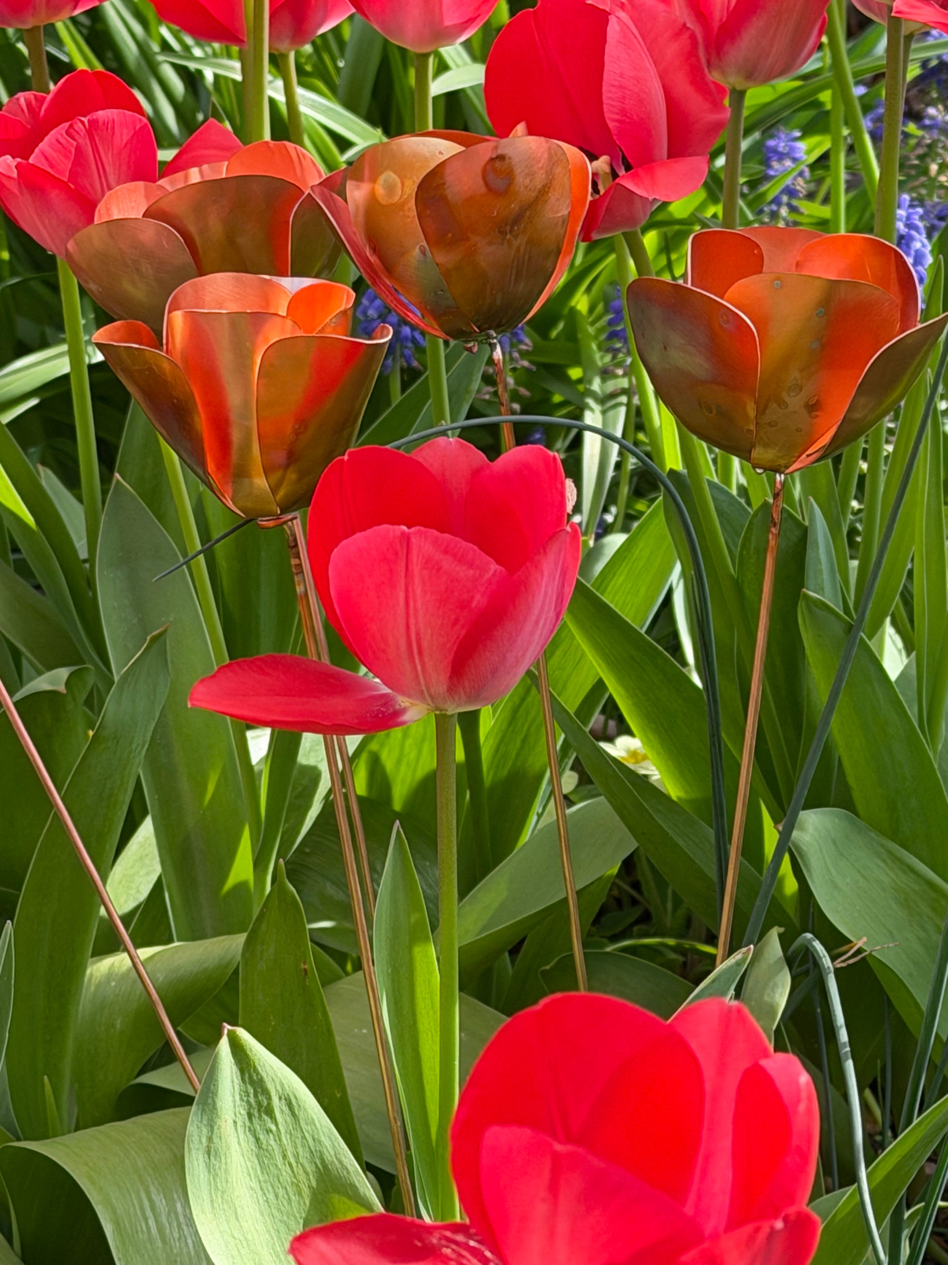 Red tulips with a copper metal sculpture of a tulip in the center from Copper and Green