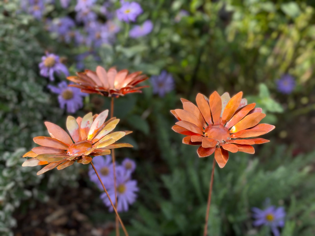 Copper and Green Gerbera