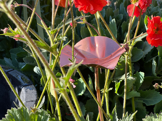Copper Bee Drinker