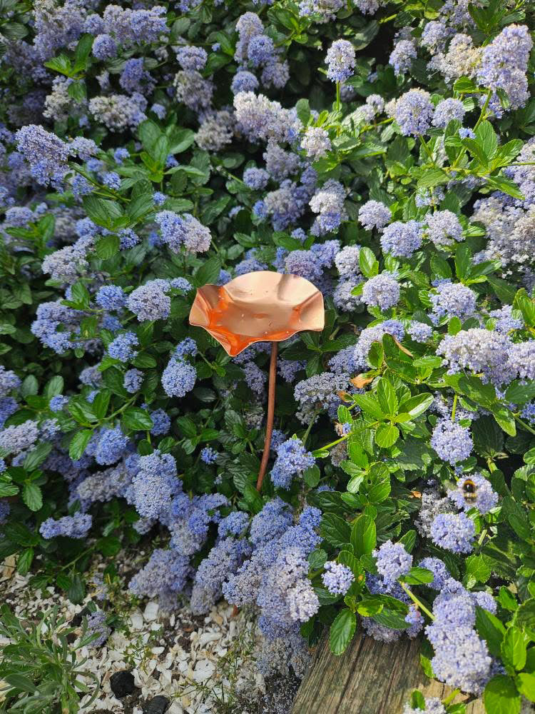 12 x Copper Bee Drinker Bundle