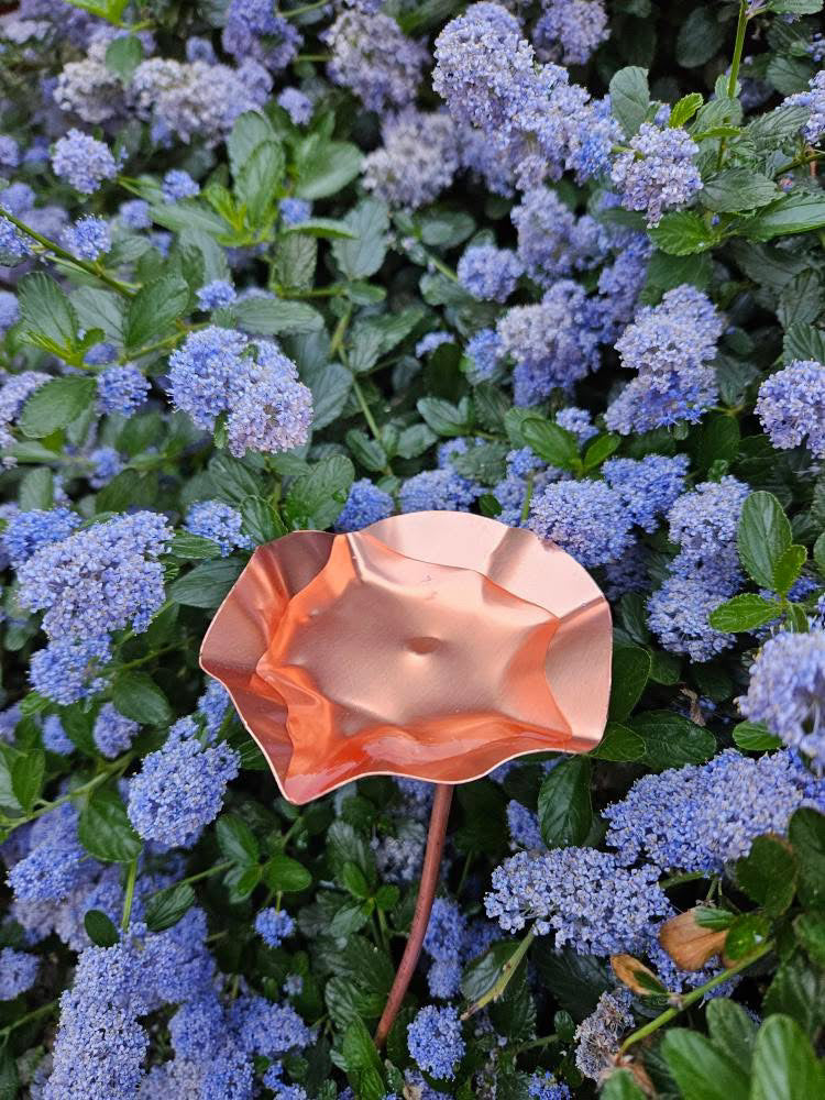 12 x Copper Bee Drinker Bundle