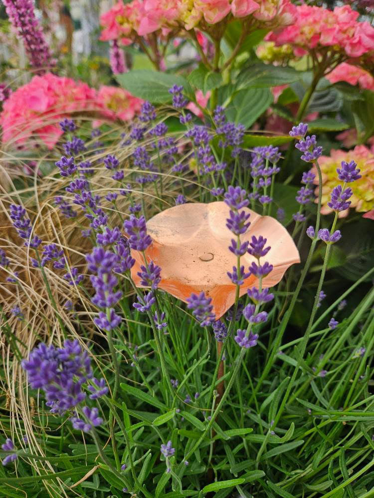 12 x Copper Bee Drinker Bundle