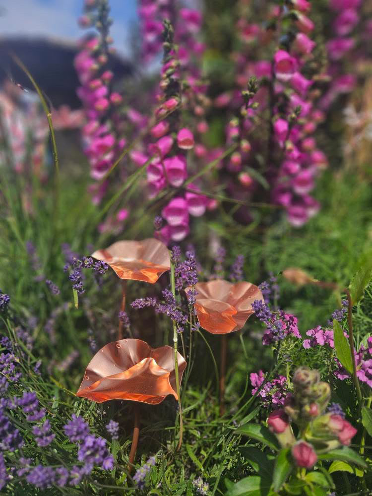 12 x Copper Bee Drinker Bundle