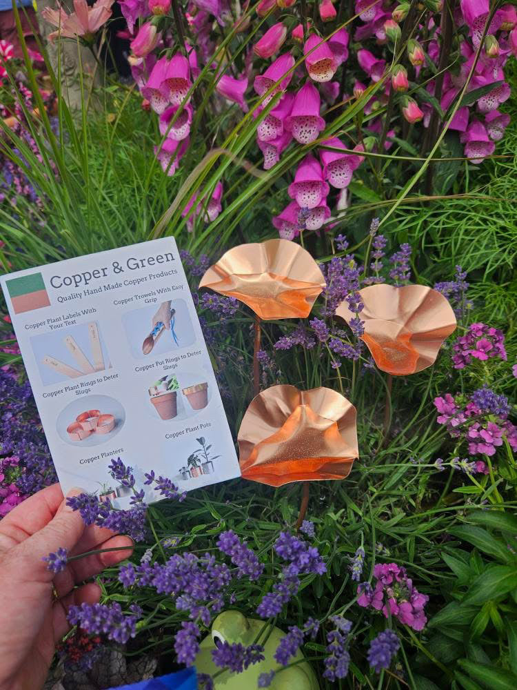 12 x Copper Bee Drinker Bundle