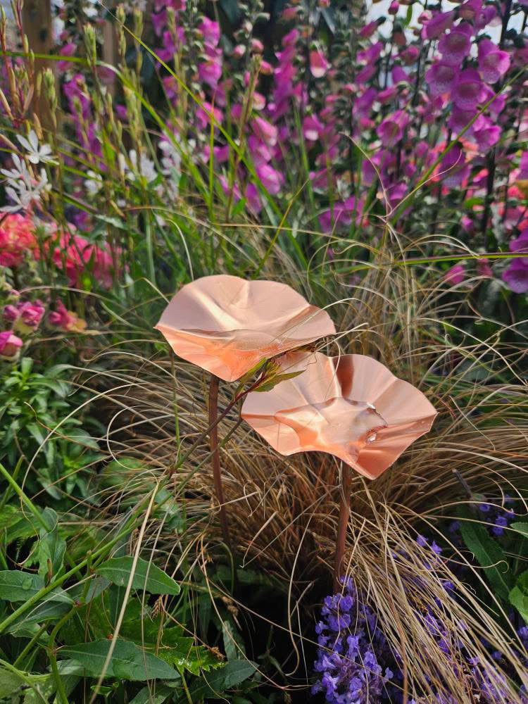 12 x Copper Bee Drinker Bundle