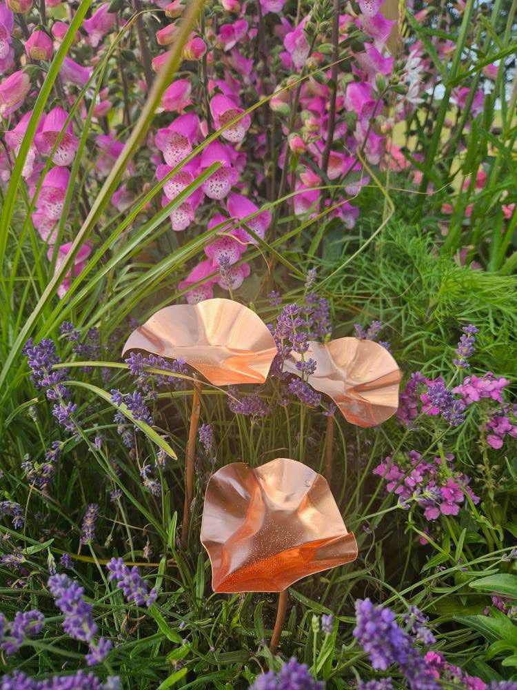 12 x Copper Bee Drinker Bundle