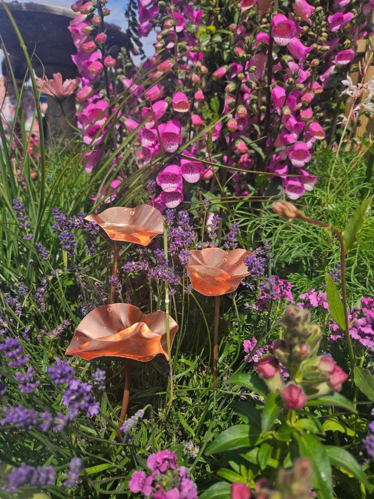 12 x Copper Bee Drinker Bundle