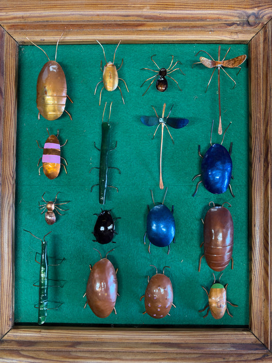 Copper Bugs and Beetles
