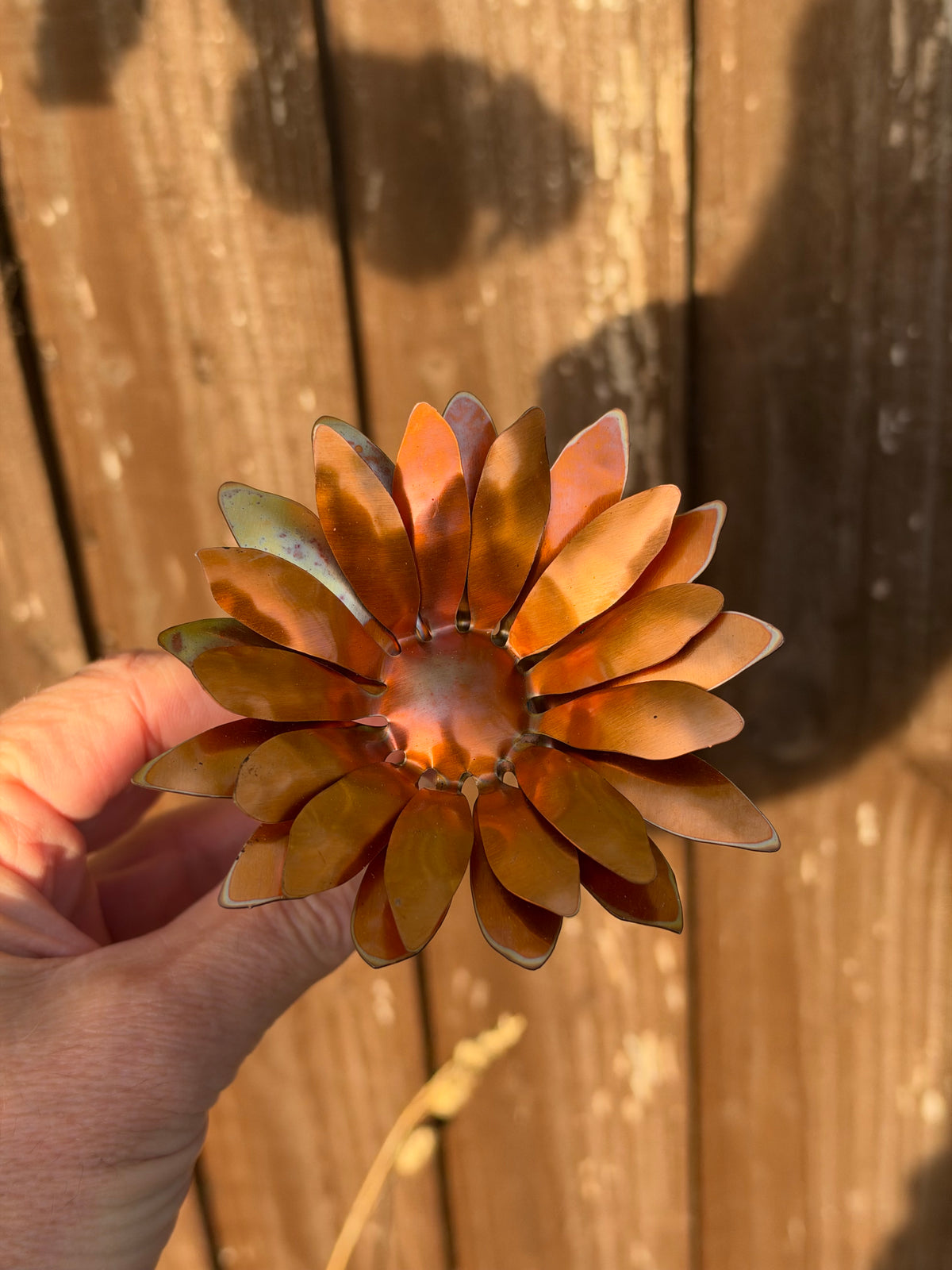 Copper and Green Gerbera