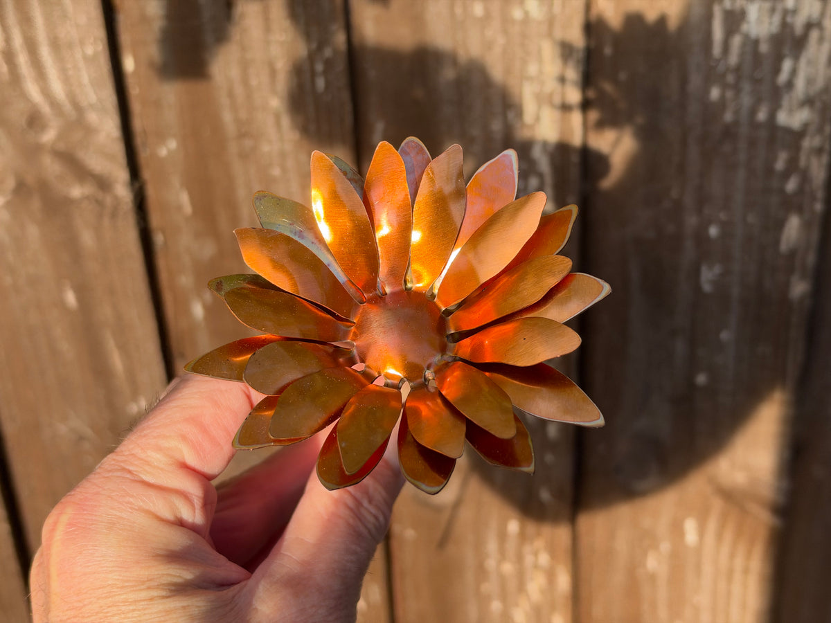 Copper and Green Gerbera