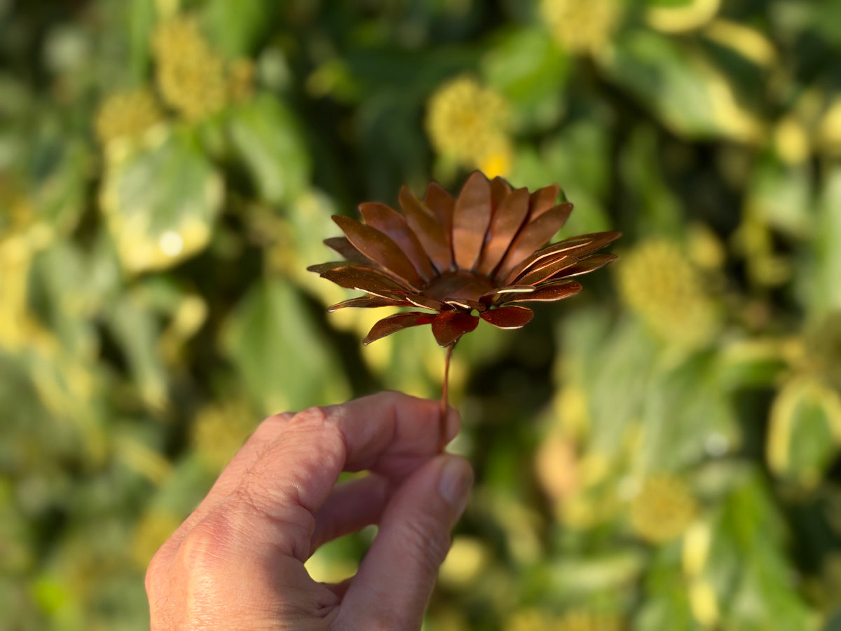 Copper and Green Gerbera