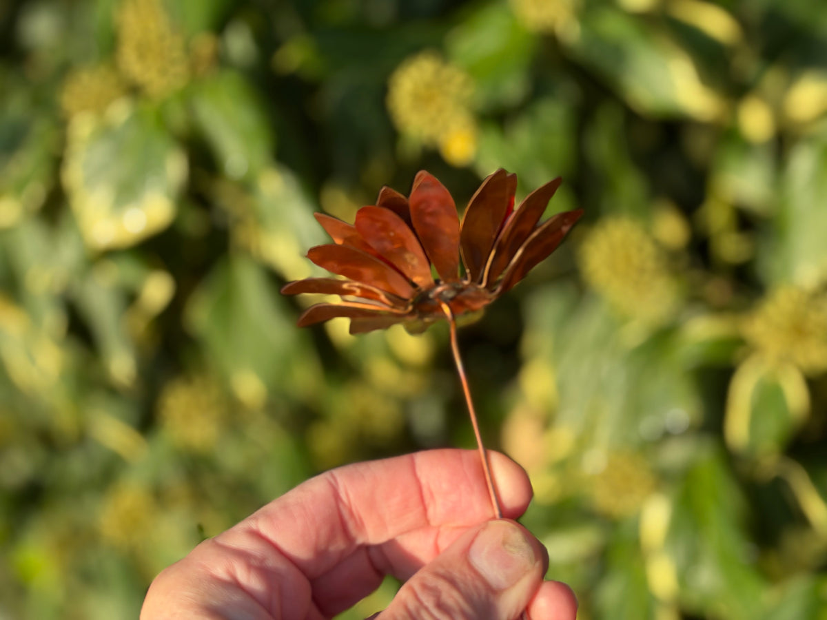 Copper and Green Gerbera