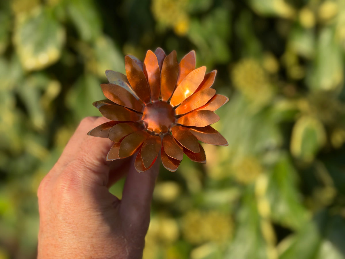 Copper and Green Gerbera