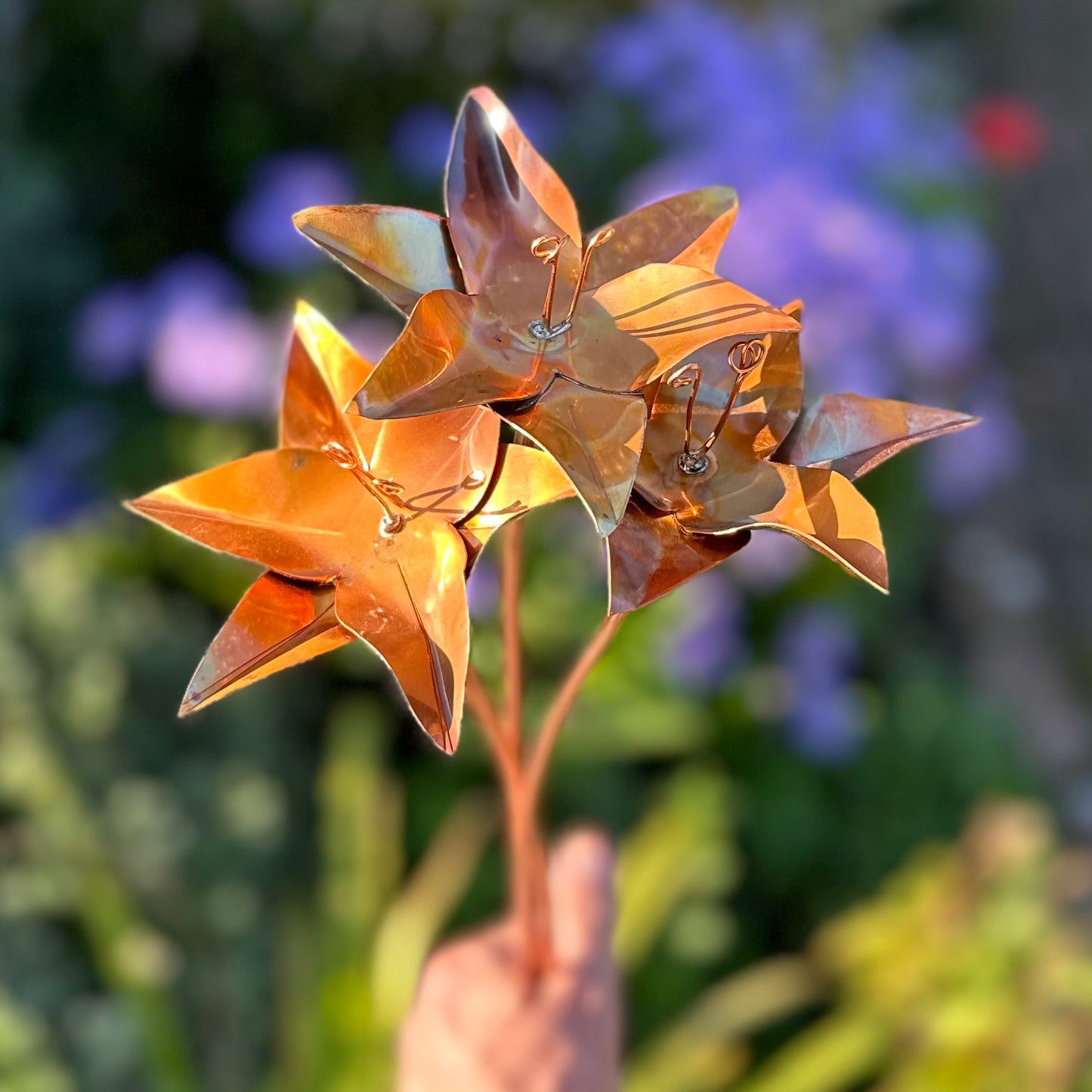 Copper Lily