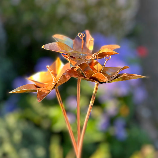 3x Copper Lilies
