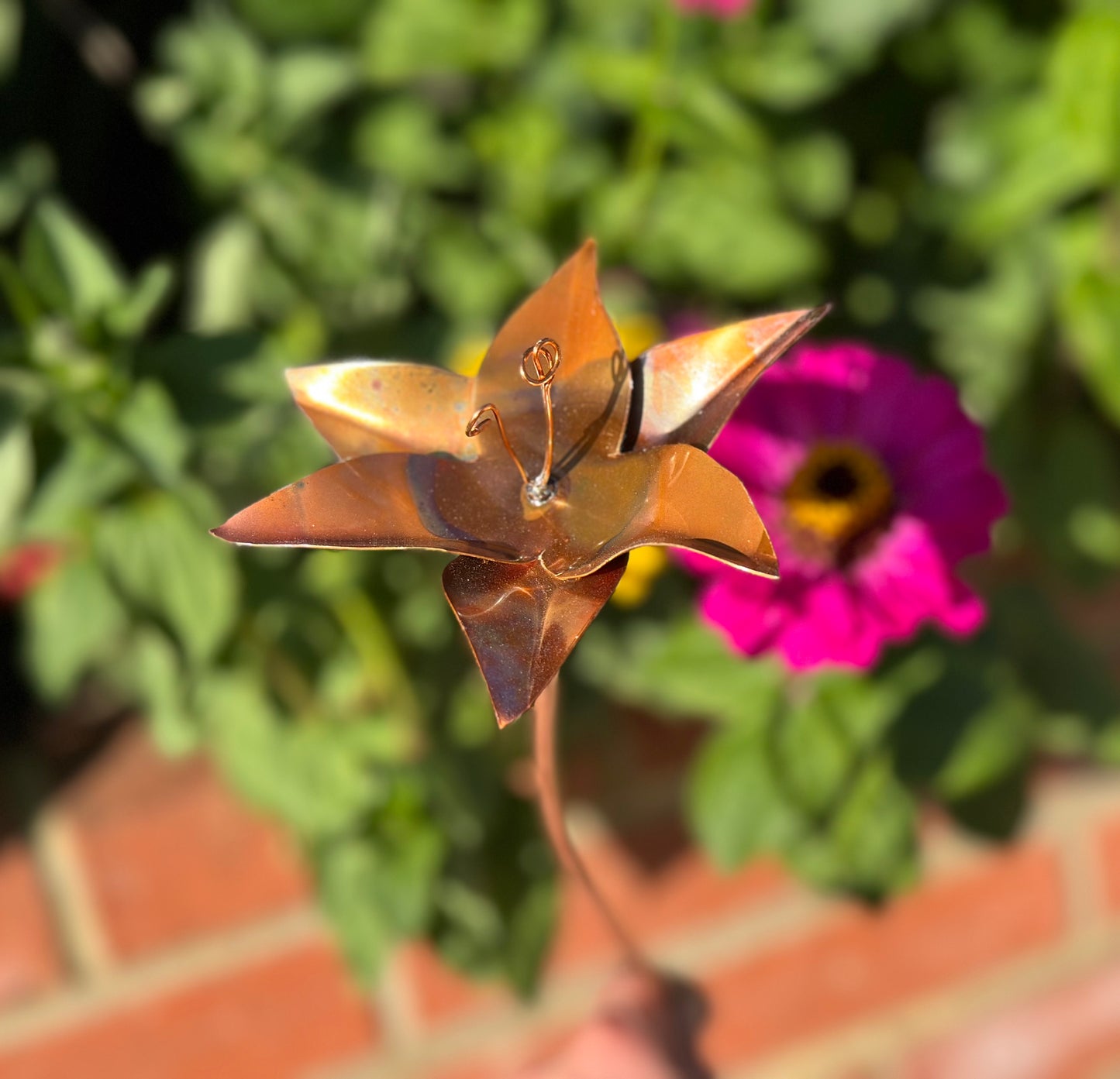 Copper Lily