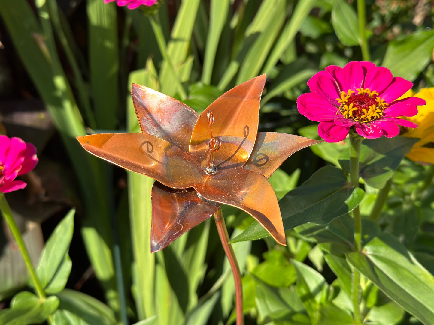 Copper Lily