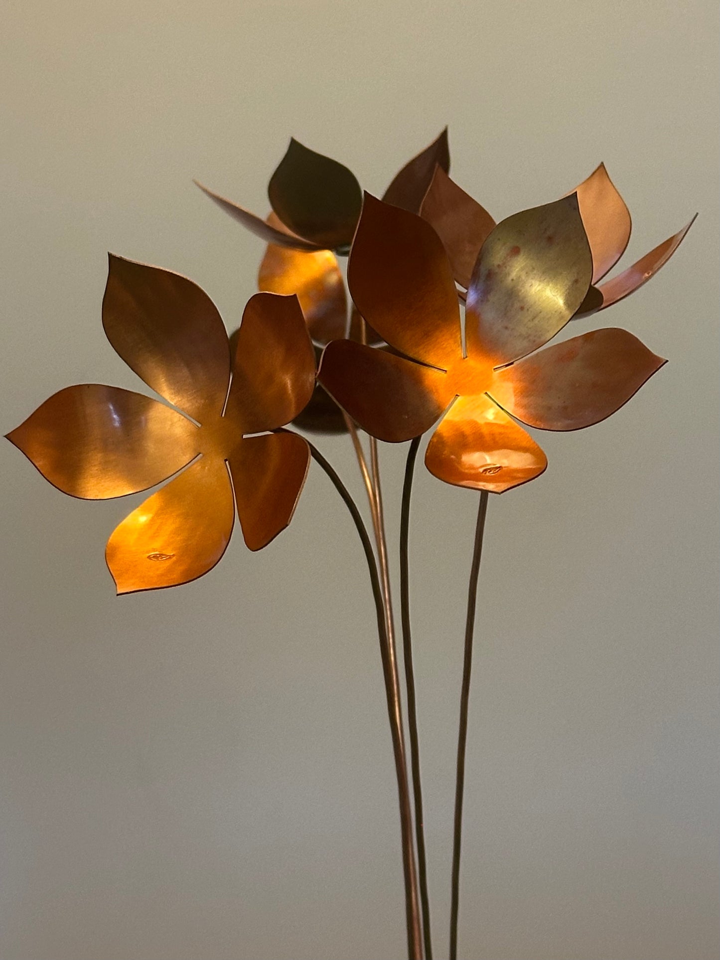 Limited Edition 2025 Christmas Flower