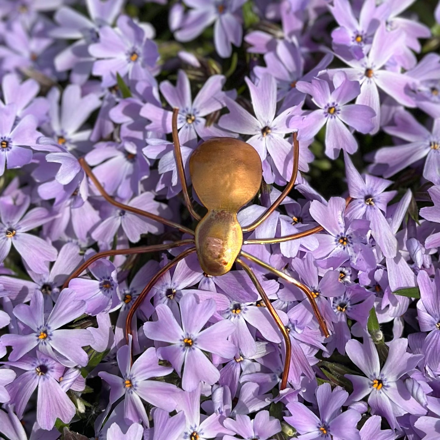 Copper Spider