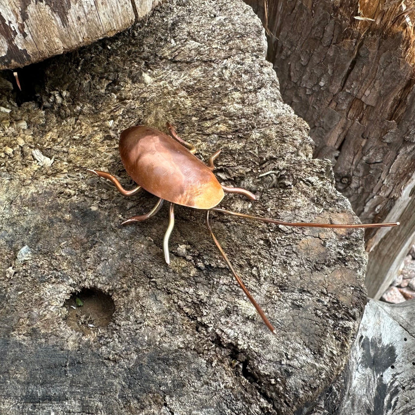 Copper Bug