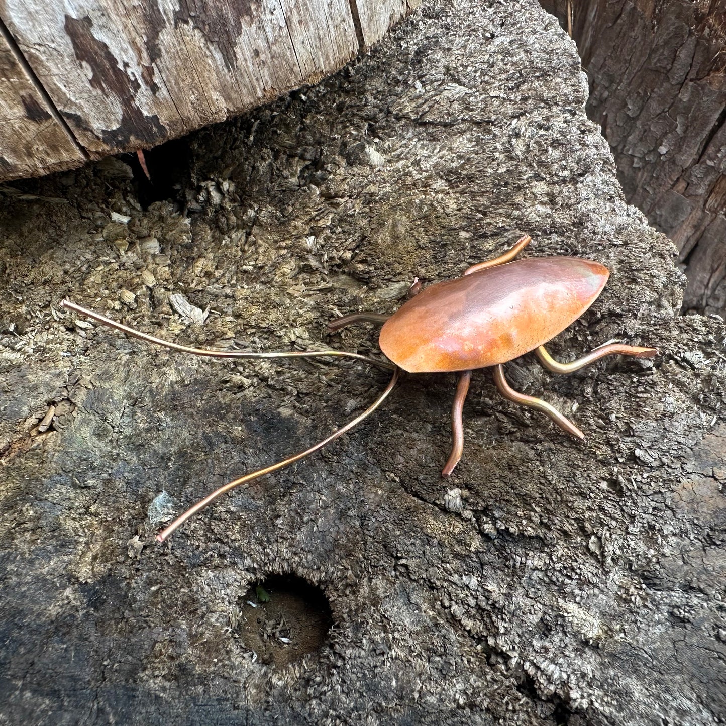 Copper Bug