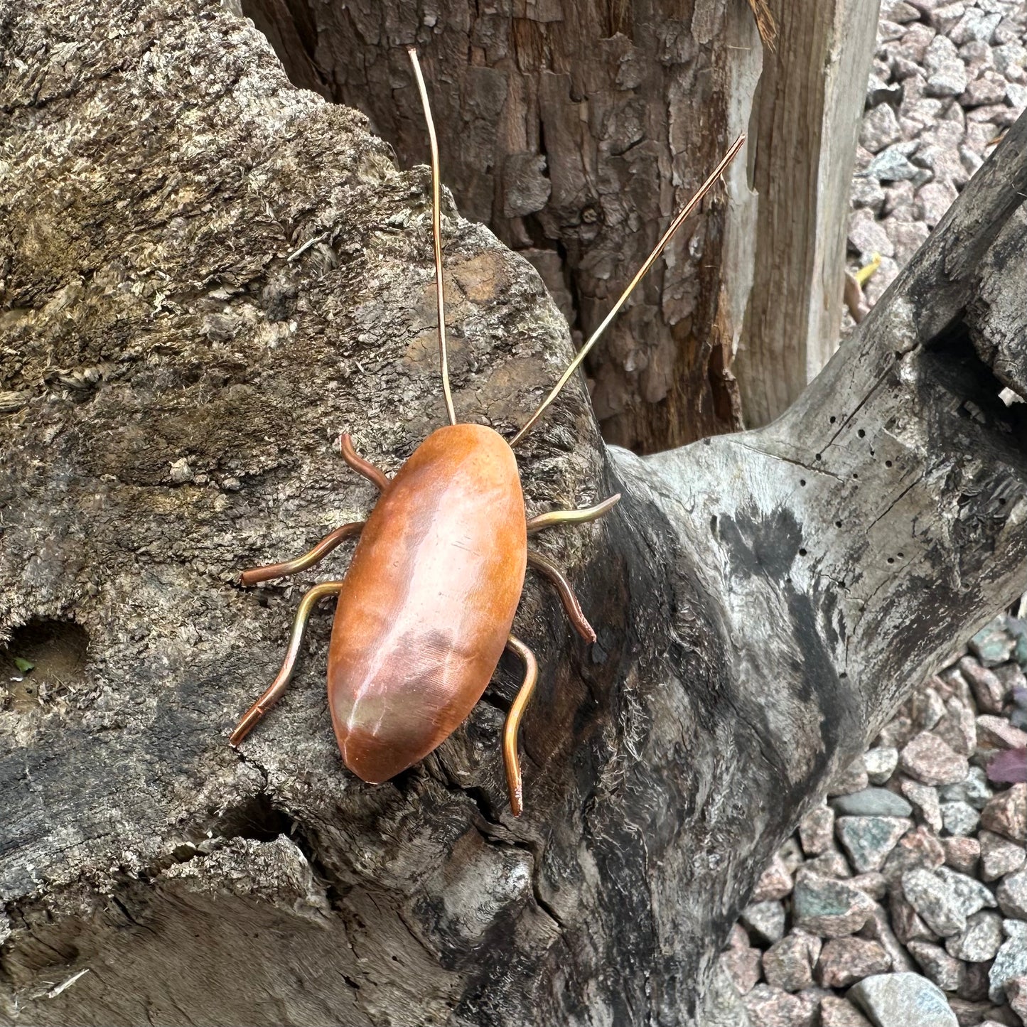 Copper Bug